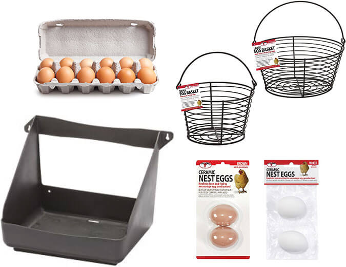 Pam's Backyard Chickens: How to Turn a Chicken Egg Basket into